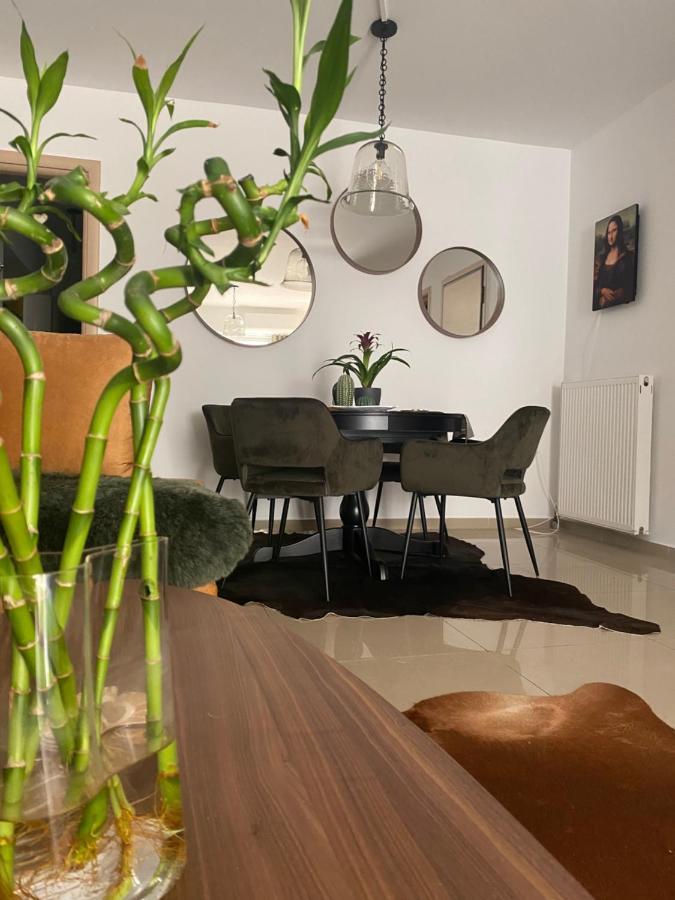 Little John Luxury Apartment 比雷埃夫斯 外观 照片